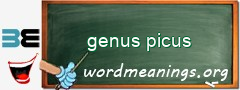 WordMeaning blackboard for genus picus